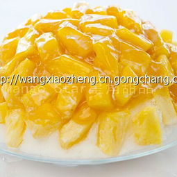 2025年斯利美餐饮产品全面解析 品质、管理与视觉展示